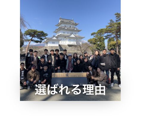 選ばれる理由